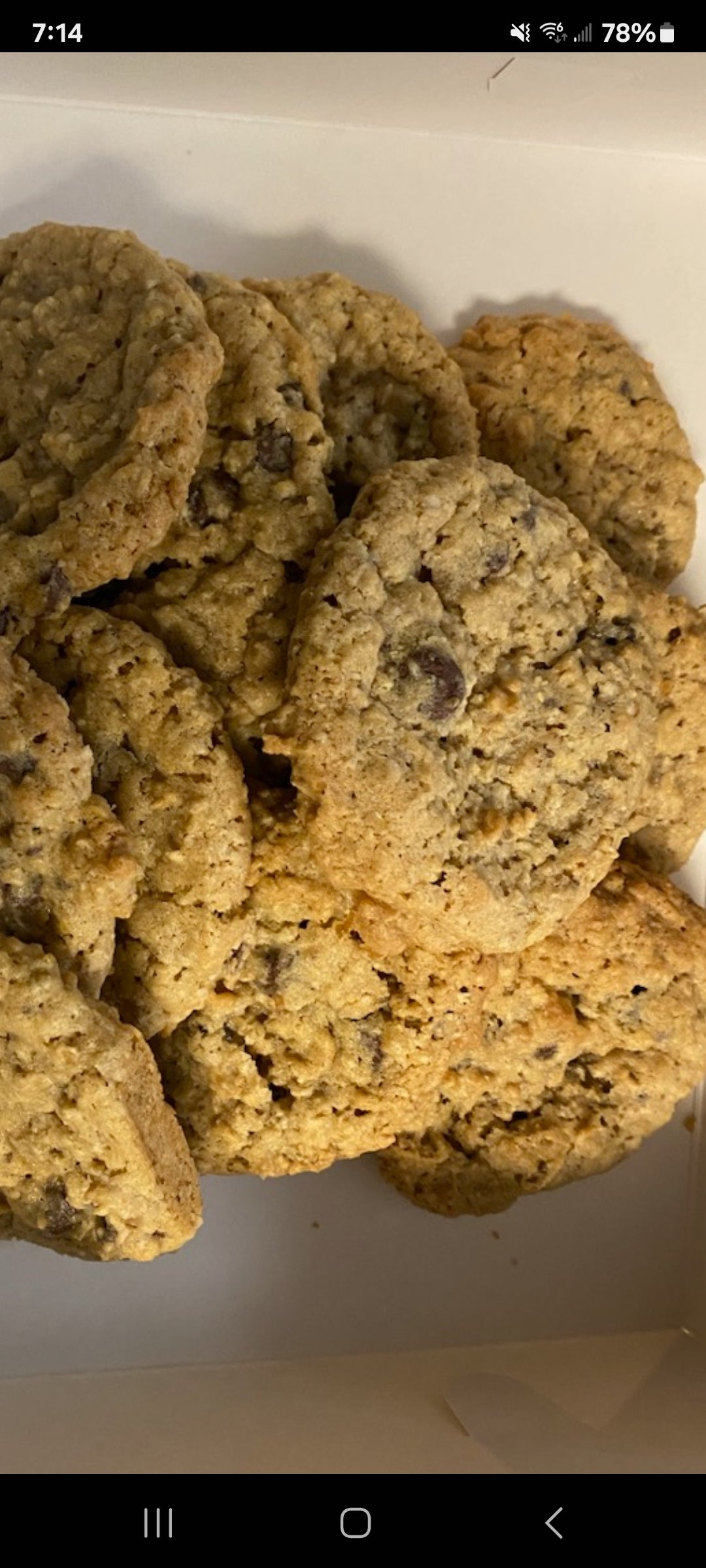12 oatmeal chocolate chip cookies